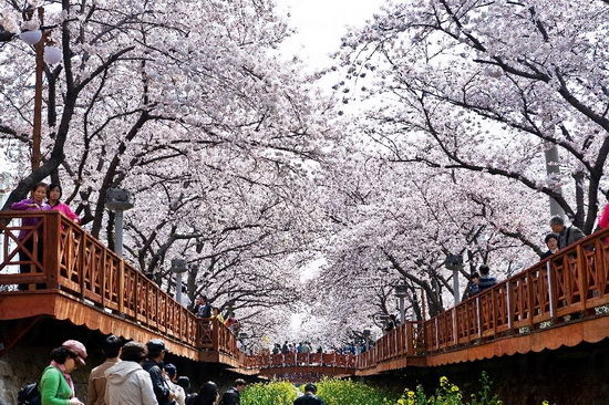 上海汽車南站到湖州的汽車時刻表是怎樣的？最